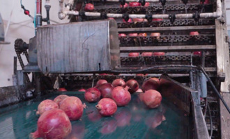 pomegranate concentrate supplier in iran