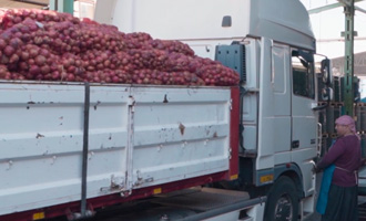 pomegranate concentrate manufacturer in iran