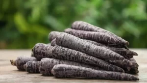 black carrot